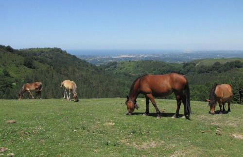 Casa Rural Erreteneko borda - Foto 21