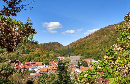 Poolhaus im Südharz - Foto 12