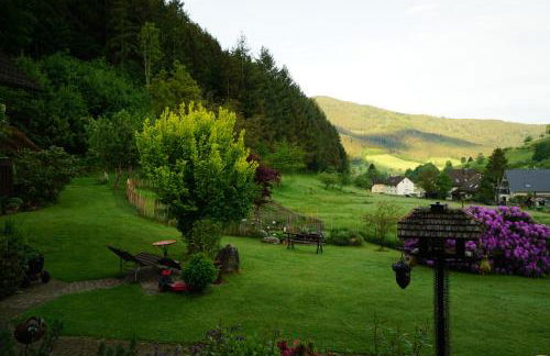 Hörnleberg - Stubenhof, Black Forest - Foto 13