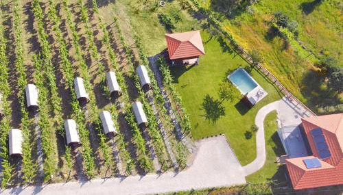 Cimo da Vinha - Nature Spot - Foto 2