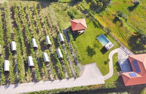 Cimo da Vinha - Nature Spot - Foto 2