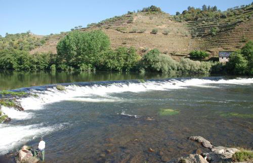 Casa Oliveiras do Douro - Foto 22