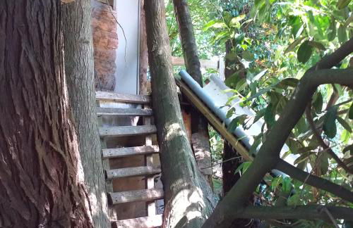 Le Cottage de L Abbaye - Photo 30