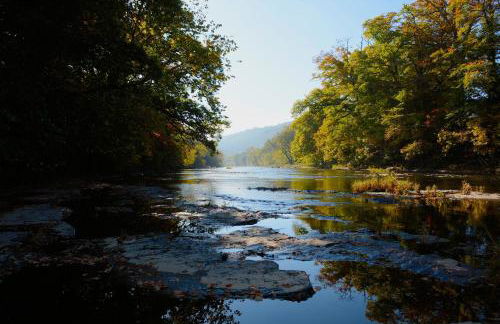 Snug Oak Hut with a view on a Welsh Hill Farm - Photo 11