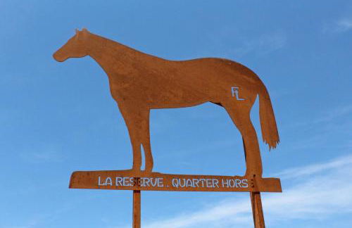 La reserve - Foto 40