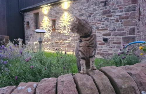 Old Brewery Barn, Ullswater, Lake District - Foto 35