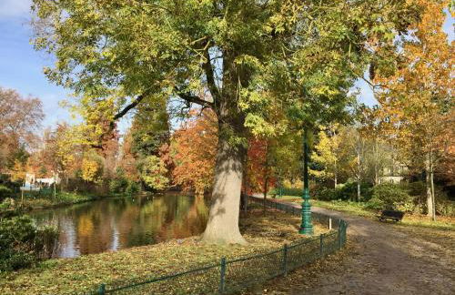 Romance au coeur de Bordeaux / Jardin Public - Foto 48