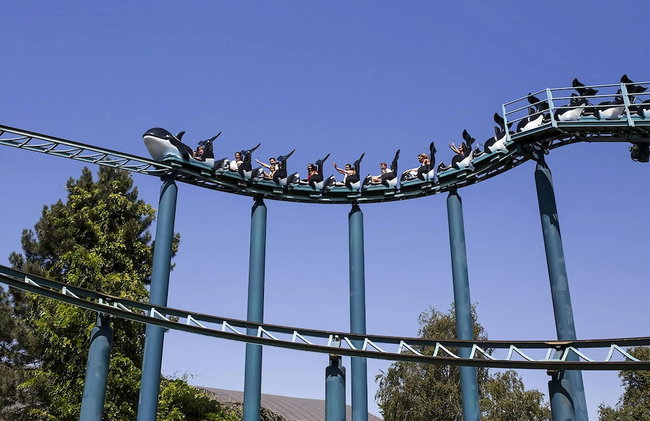 Appealing Bungalow With Garden - Photo 80