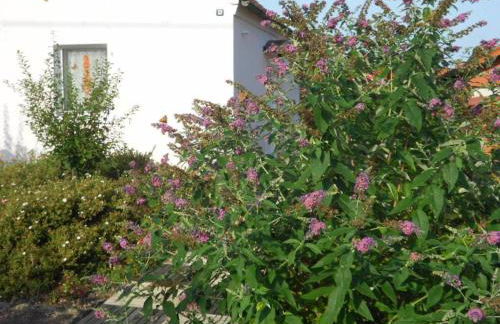 Ferienwohnung Maurer - Foto 16