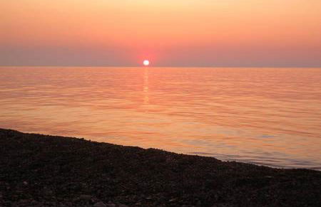 Ambra di mare - Foto 37