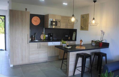 Résidence U Rapalinu - Foto 42