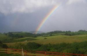 Axuri-alde - Foto 22