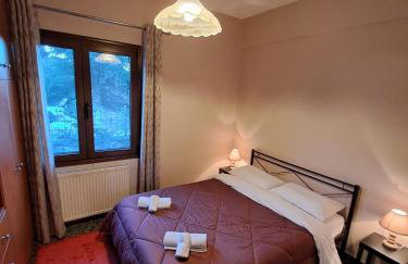 Kontolati's Mountain House - Foto 18