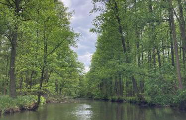 Ferienhaus Im Spreewald - Foto 10