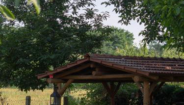 Ferienhof Bahlens-Schur - Foto 2, Garden view