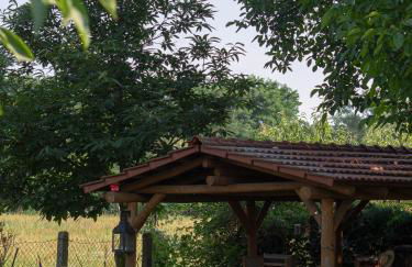 Ferienhof Bahlens-Schur - Foto 2