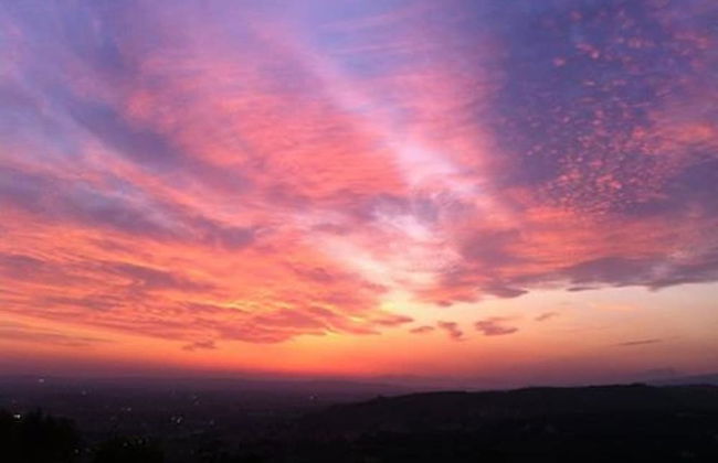 Agriturismo il Pianetto - Foto 59