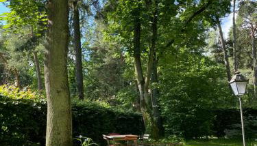 Willa Dina - Foto 4, Garden