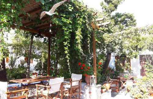 Katikies Stamatias Studios & Maisonettes - Foto 45