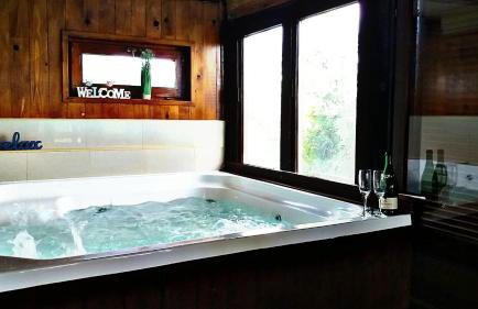 Kuća sa apartmanima Šemnica - za odmor i proslave! - Photo 20