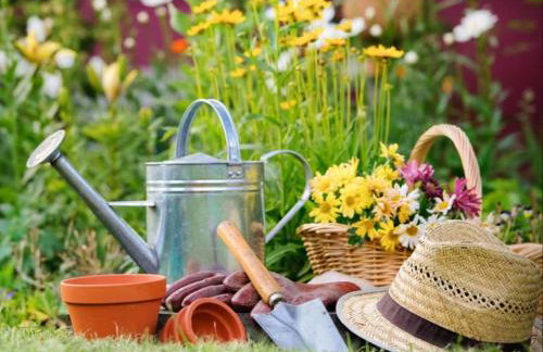 "IL CASALE DEI GIRASOLI" Country House in Capalbio - Foto 32