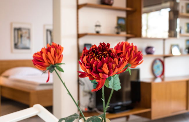 Ankerplatz (B313) - Foto 18