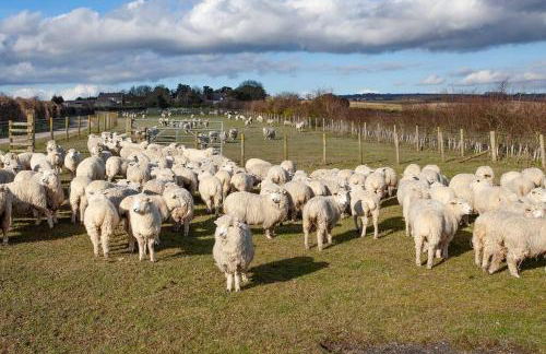 Shepherds Huts Tansy & Ethel in rural Sussex - Foto 25