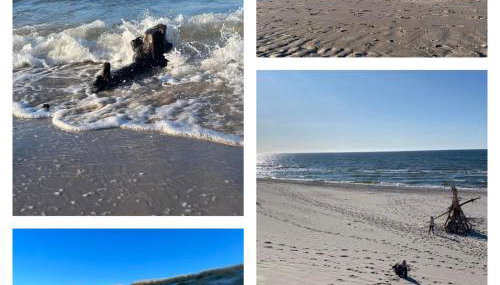 Swojskie Chatki - Marynarska Chatka - Foto 3