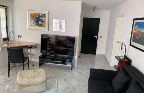 Excl Ferienwohnung im Dreiländereck D-F-CH mit beheiztem kl Pool zum Schwimmen und Massieren - Foto 30