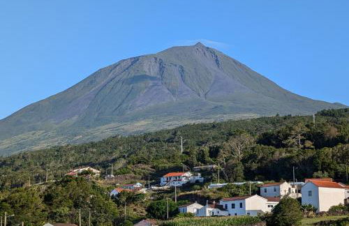 Casa de São João - Photo 21