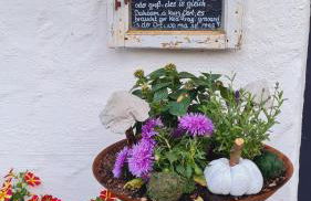 Ferienwohnungen Woidzauber - Foto 33