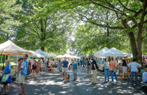 Lion's Lair - Foto 40