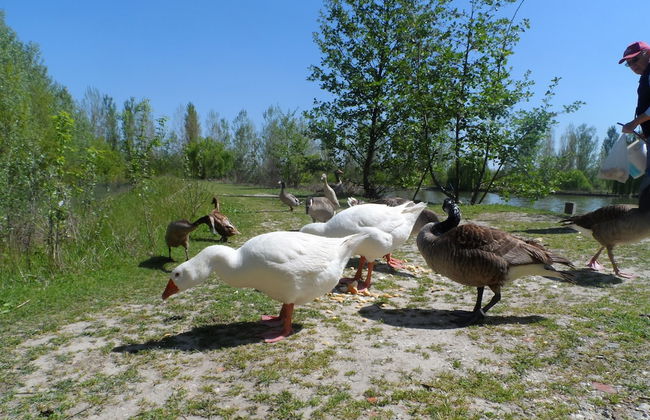 Lama di Valle Rosa - Foto 55