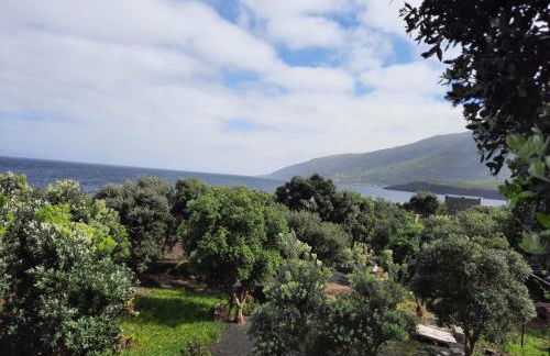 CASA DO CANAL - Photo 40