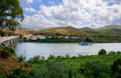 Quinta Da Ponte - Foto 23