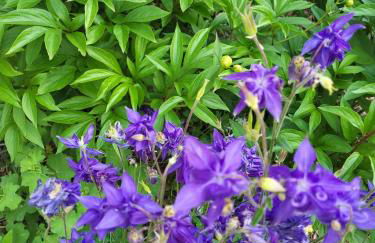 FeWo am Neckarsteig mit Anbindung an Heidelberg - Photo 14