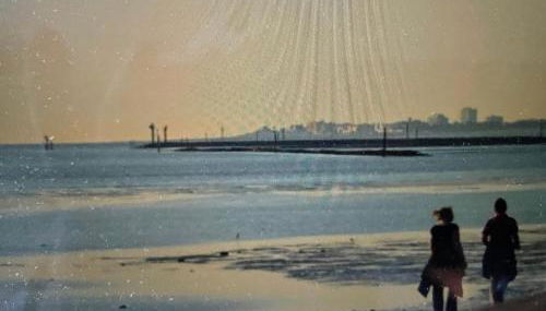 Seestern am Naturstrand - Foto 4