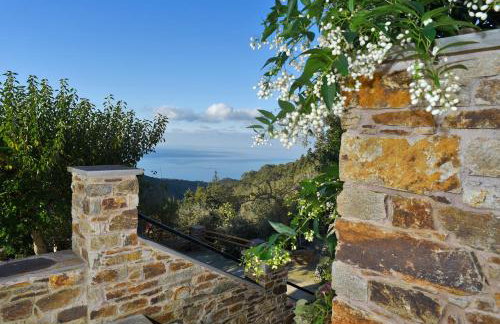 Endless Green 4 Arethousa Ikaria - Photo 23