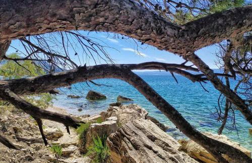 Apartmani Skejić - Foto 72