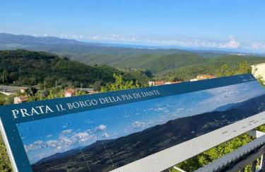 Vincent van Gogh Dolce Vita - Foto 27