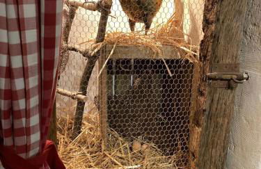 Gîte " Le Normand " Sa Vue Splendide - Foto 9