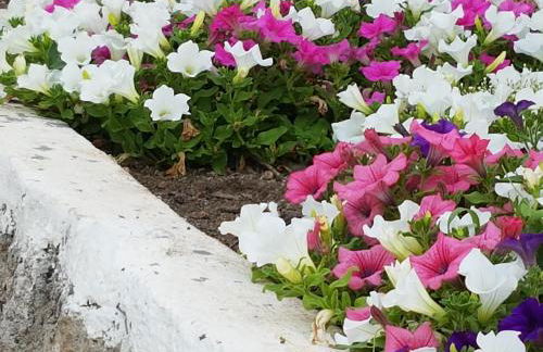 Finca Sa Cova de Mallorca - Foto 33