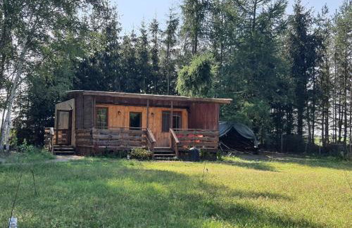 Bukowa Ostoja - Foto 35