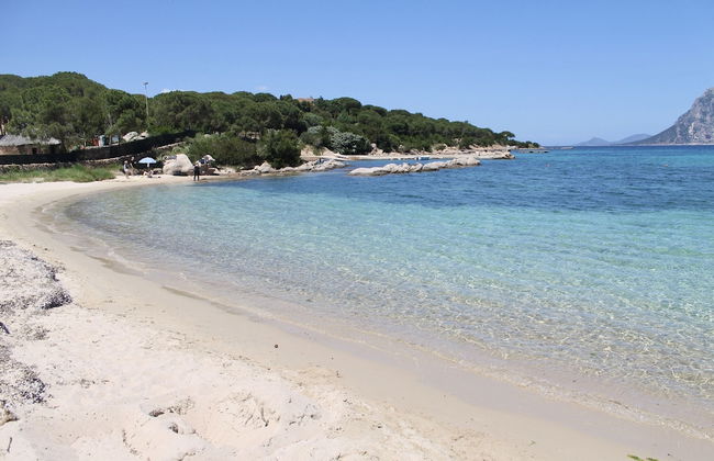 Appartamenti Porto Coda Cavallo - Photo 16