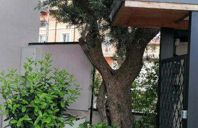 villa Grazia - Foto 8