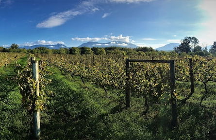 De Doornkraal Vinotel - Foto 23