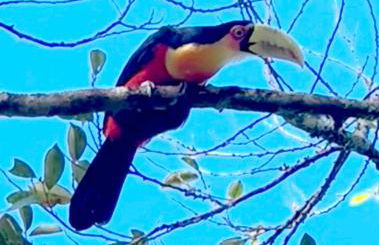 Arthi - LINDO LOFT RECANTO DOS PASSARINHOS - Foto 28