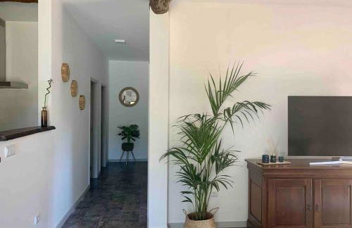 Casa Mira Tâmega - Foto 11