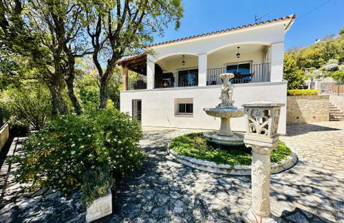 Teules CostaBravaSi - Foto 41