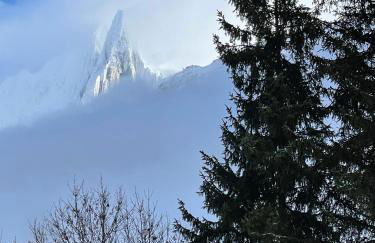 Chalet Atmosphere Chamonix City Center Large T3 - Foto 48